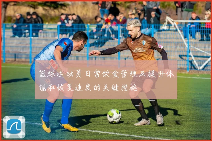 篮球运动员日常饮食管理及提升体能和恢复速度的关键措施