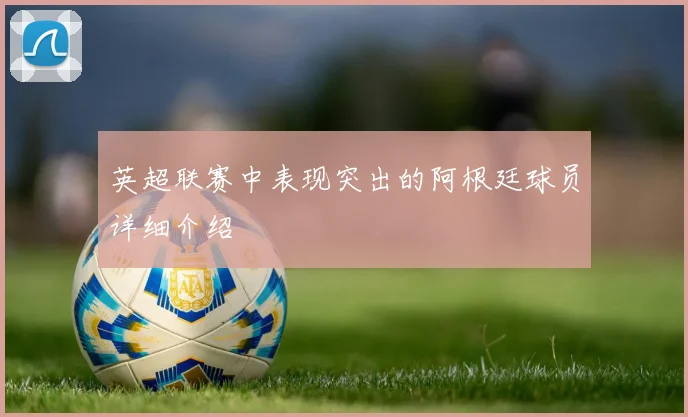 英超联赛中表现突出的阿根廷球员详细介绍