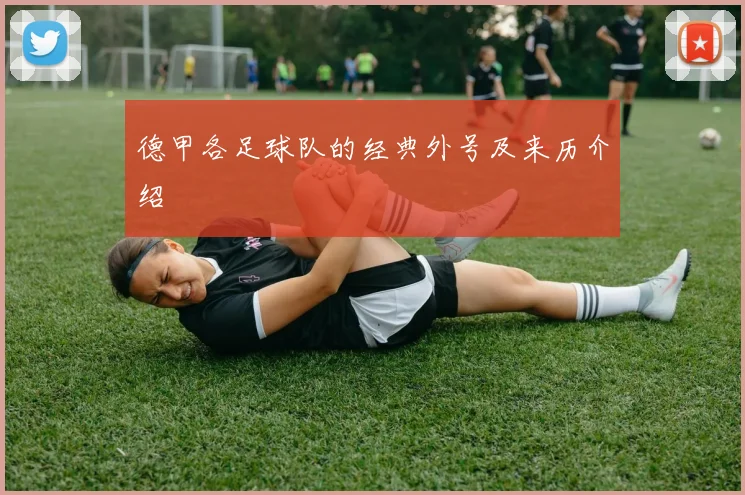 德甲各足球队的经典外号及来历介绍