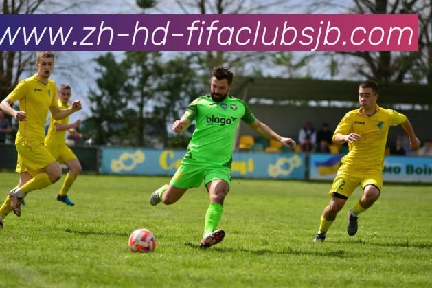 世界杯赛程平台生态图